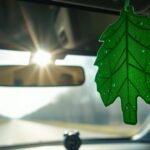 little tree air fresheners duration