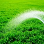 top lawn sprinkler recommendations