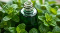 peppermint oil energizes and sharpens