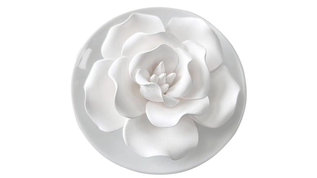 ceramic non electric diffuser