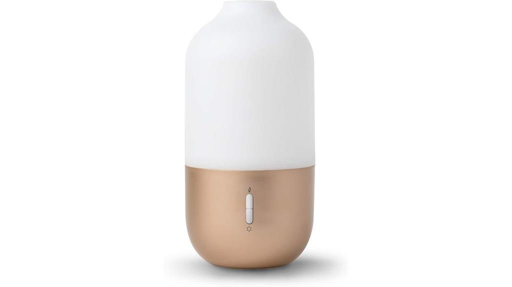 dual capacity essential oil diffuser