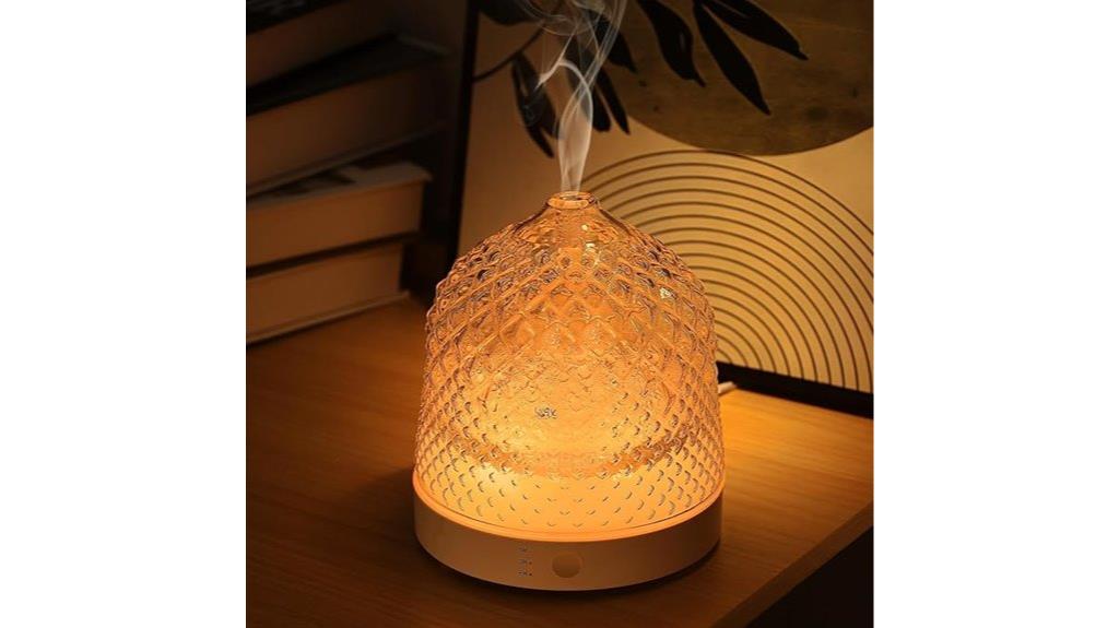 elegant 200ml glass diffuser