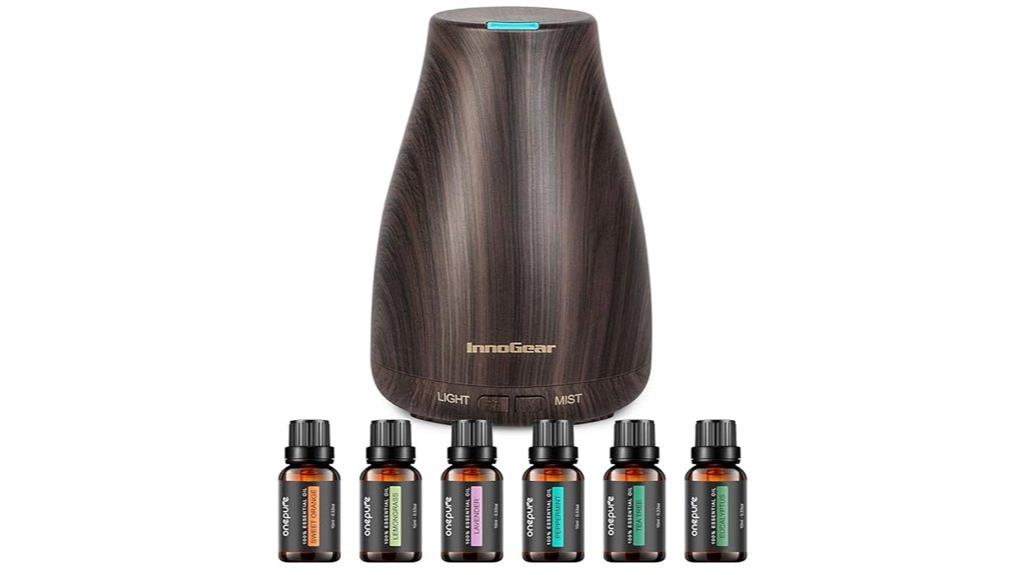 innogear 100ml diffuser set