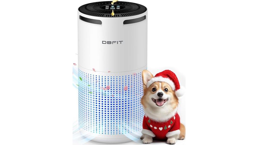 large room air purifier