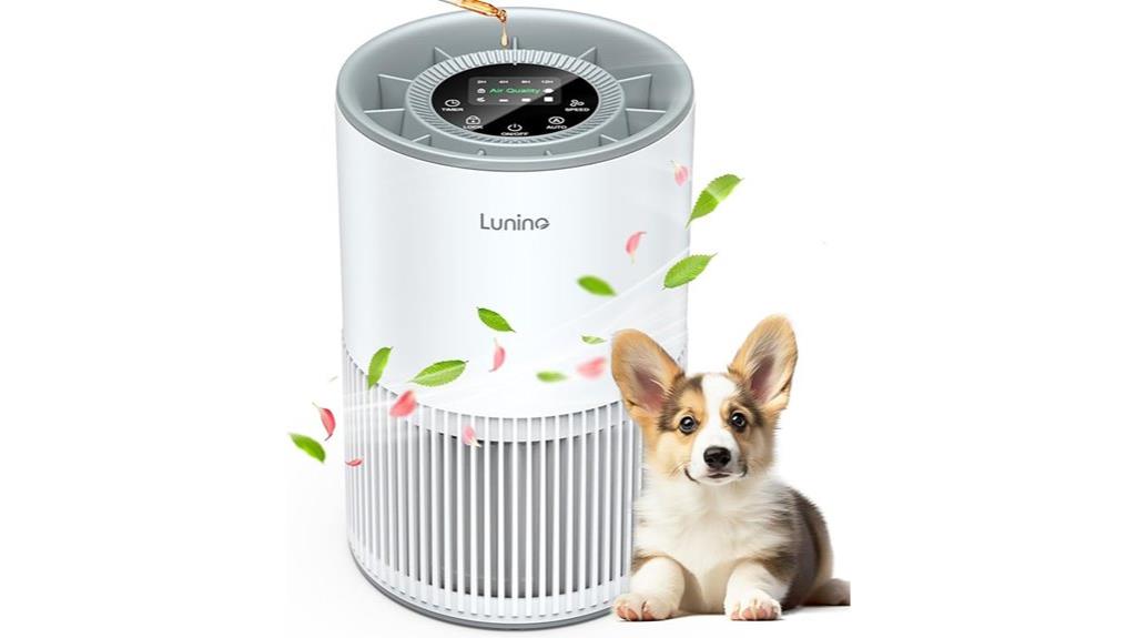 large room air purifiers