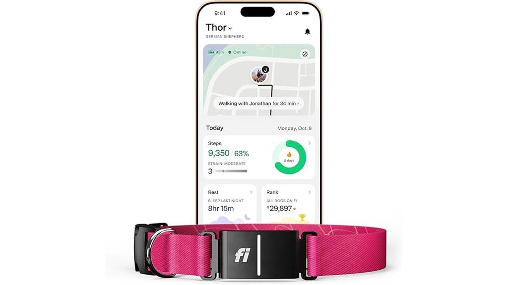 gps enabled dog fitness collar