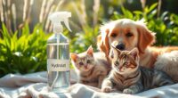 hydrolat pet safety precautions