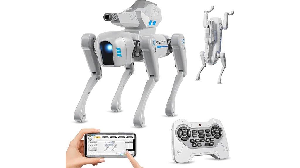 interactive remote control robot
