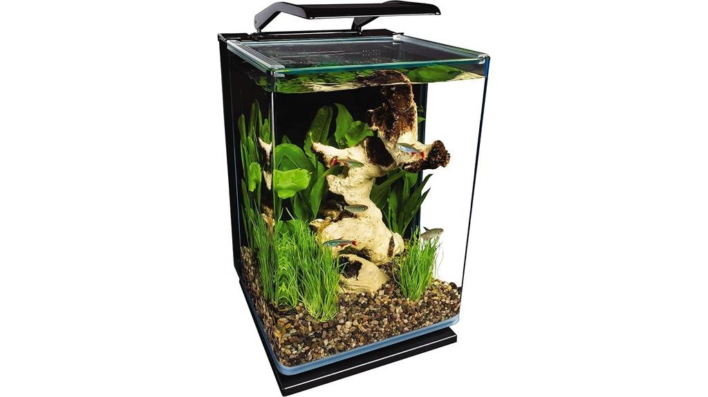 led lit glass aquarium