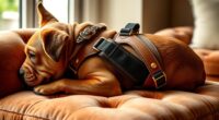 luxury dog harness options
