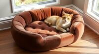 luxury orthopedic cat beds