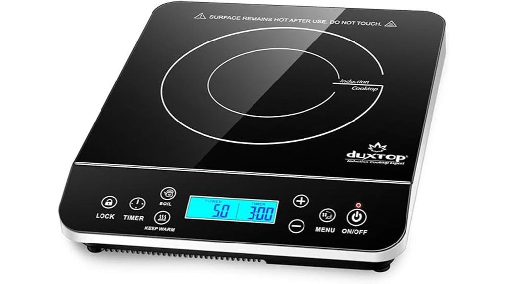 portable induction cooker