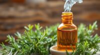 rosemary oil s uses and scent