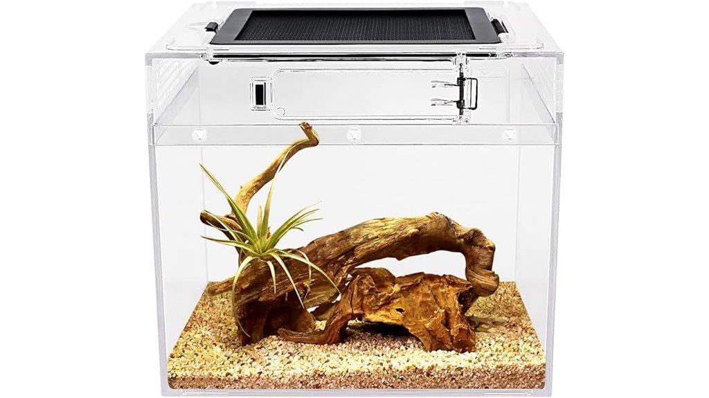 small glass reptile habitat