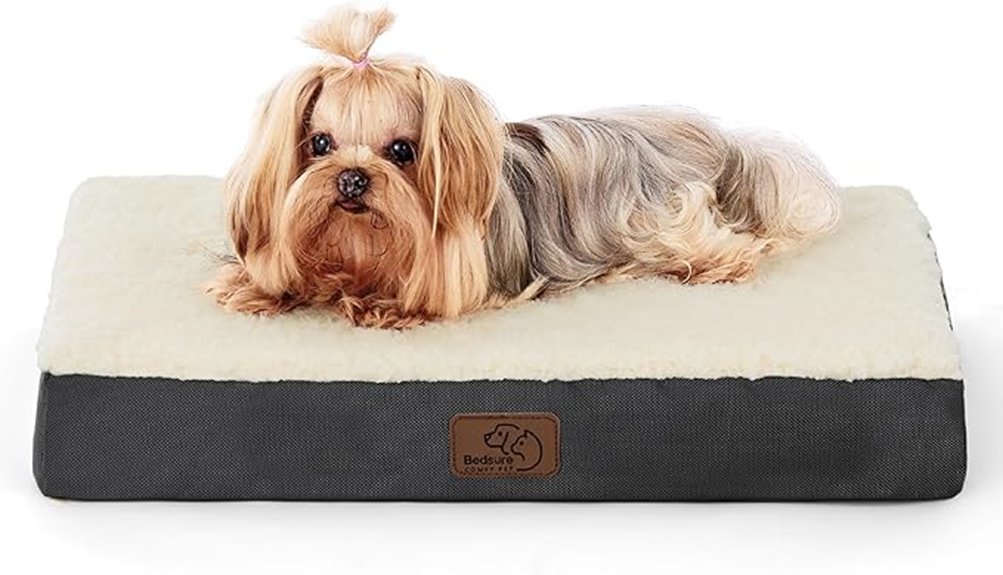 small washable dog bed