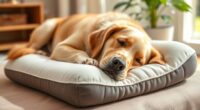 top orthopedic dog pillow selection