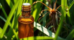 vetiver oil s uses and scent