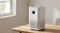 air purifier ozone risks