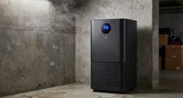 basement mold prevention strategy