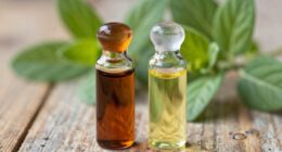 different plant oils types