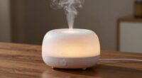 dual mode ultrasonic diffuser