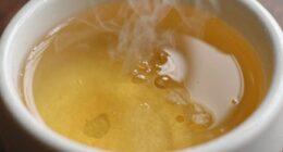 thick oils clog diffusers