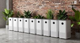 top basement mold purifiers