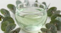 top eucalyptus diffuser oils