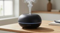 top premium diffusers 2026