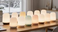 top winter light therapy lamps