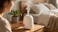 10 Best Diffuser for Dry Climate in 2026