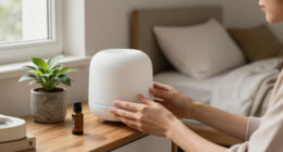 11 Best Diffuser for Airbnb in 2026