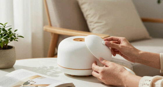 11 Best Diffuser For Reading Nook In 2026