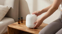 14 Best Diffuser for Apartment in 2026