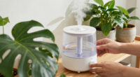 14 Best Humidifier for Plants in 2026