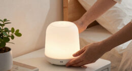 6 Best Diffuser for Safe Overnight Use in 2026