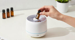 7 Best Battery Powered Diffuser in 2026