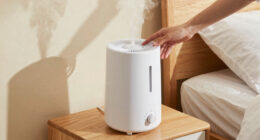 7 Best Evaporative Humidifiers in 2026 — The Complete Buyer’s Guide