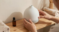 8 Best Diffuser for Spa Decor in 2026