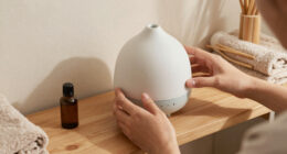 8 Best Diffuser for Spa Decor in 2026
