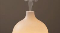 choosing the right diffuser