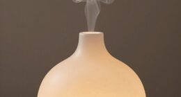 choosing the right diffuser