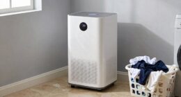 dehumidifier for laundry dampness