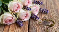 different scents evoke emotions