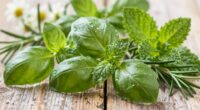 herbal scents feel cleaner