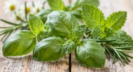 herbal scents feel cleaner
