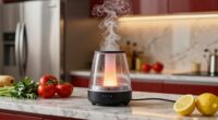 kitchen odor diffuser solution