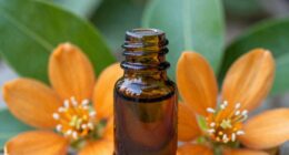 neroli oil s potent benefits