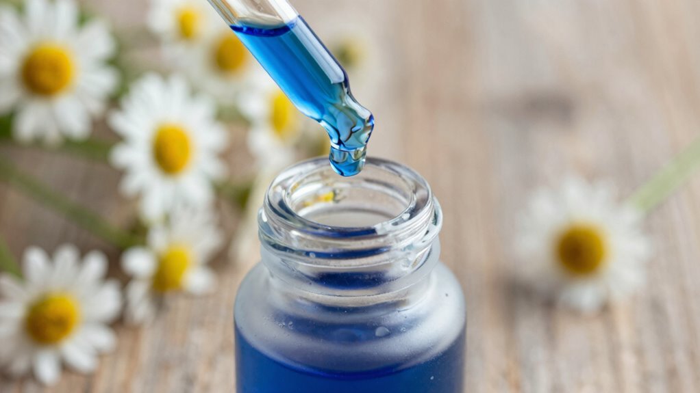 premium blue chamomile cultivation
