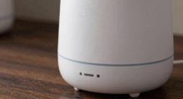 preventing diffuser dust buildup
